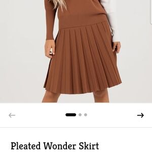 Pleated Charlotte Cocoa Skirt Xl 21"